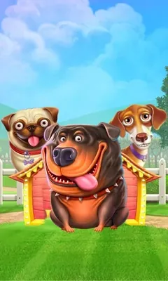 The Dog House slot by Pragmatic Play at Corgibet